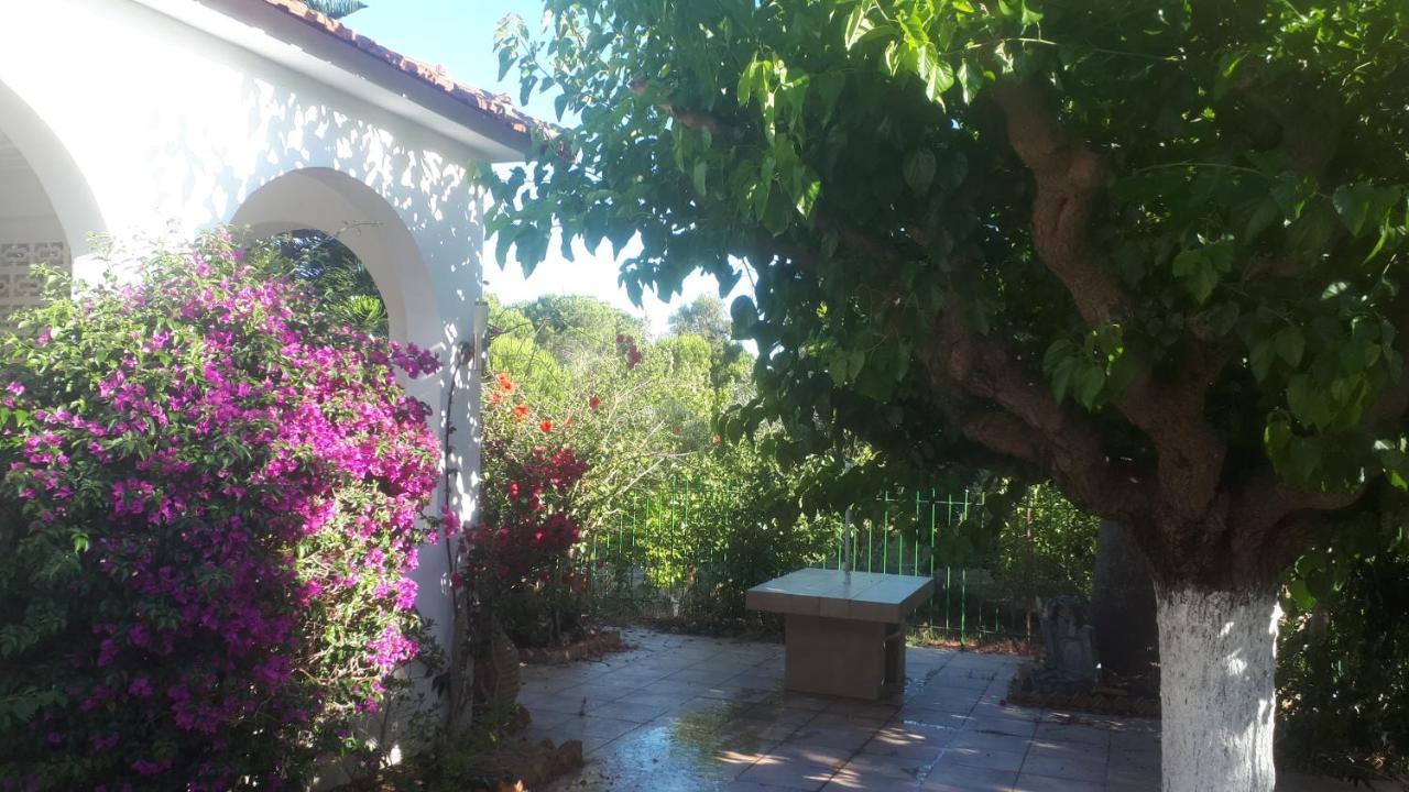 Villa Dunes 350M From The Sandy Beach Kalogria  Exterior photo