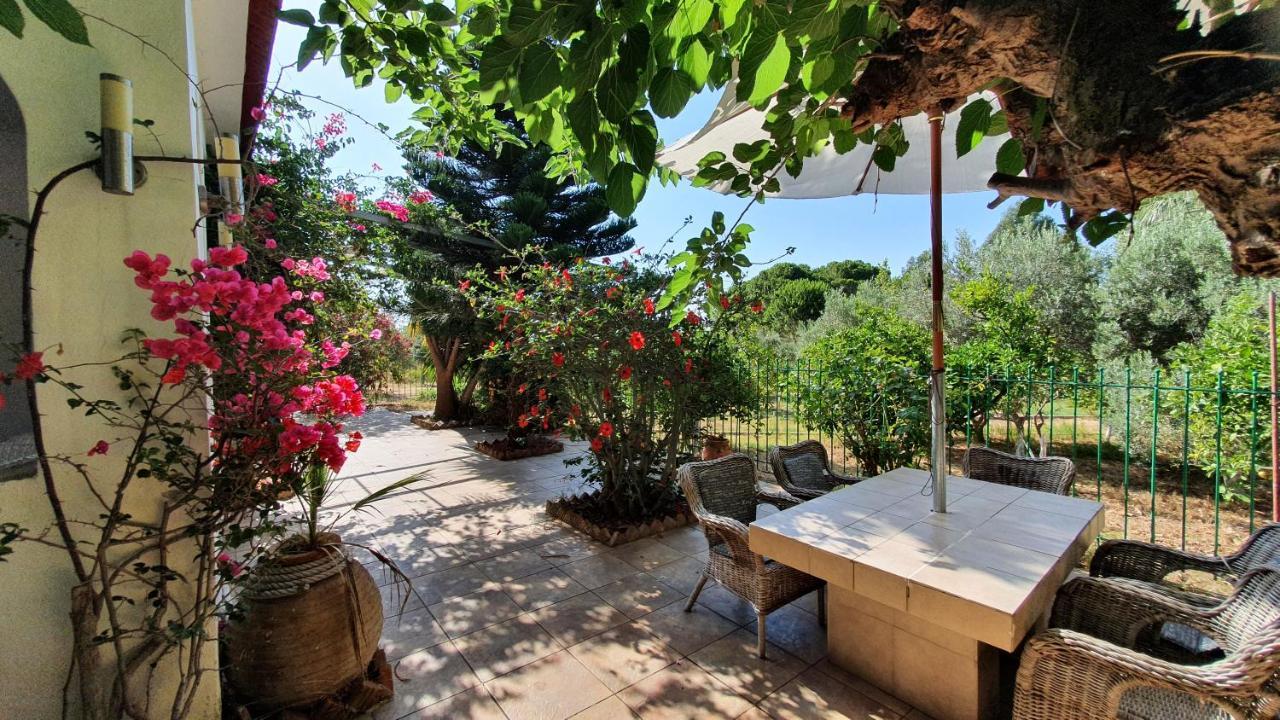 Villa Dunes 350M From The Sandy Beach Kalogria  Exterior photo