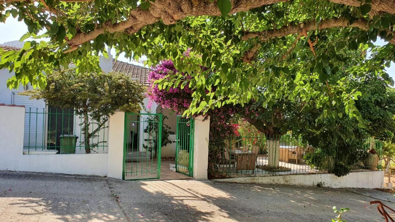 Villa Dunes 350M From The Sandy Beach Kalogria  Exterior photo